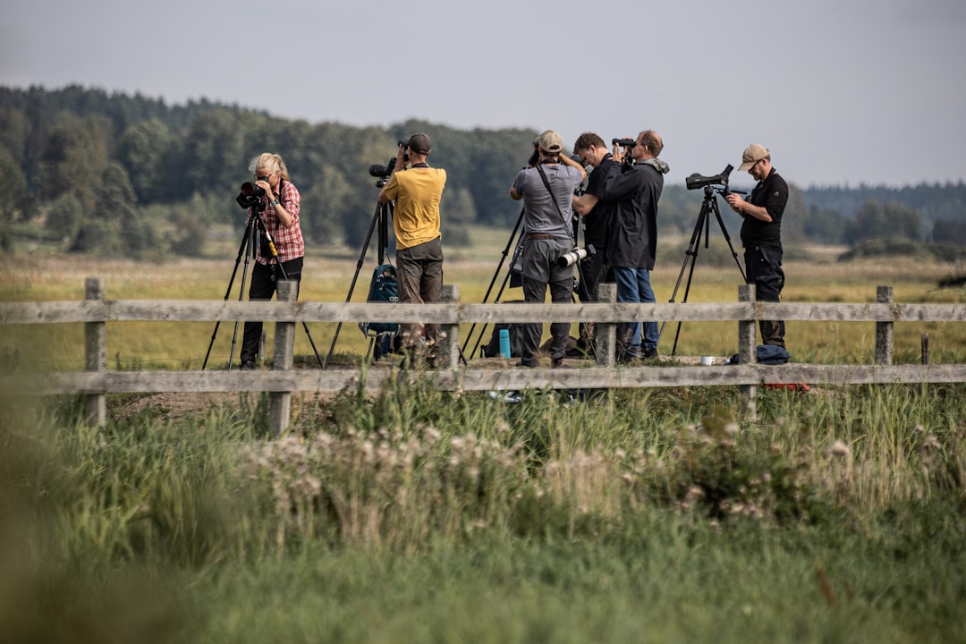 Gruppe auf der Wiese